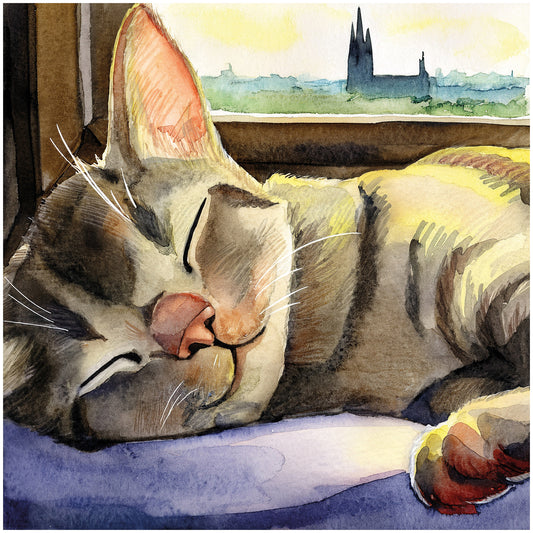 FineArt Print - quadratisch - Schläfchen