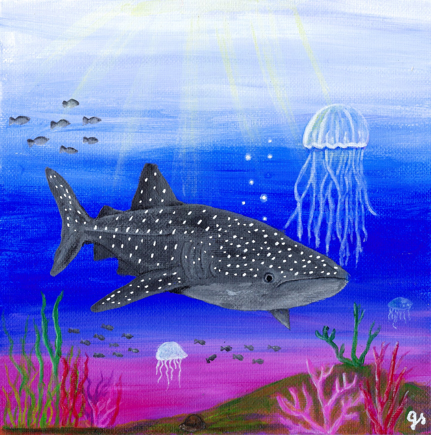 FineArt Print - quadratisch - Haiwal