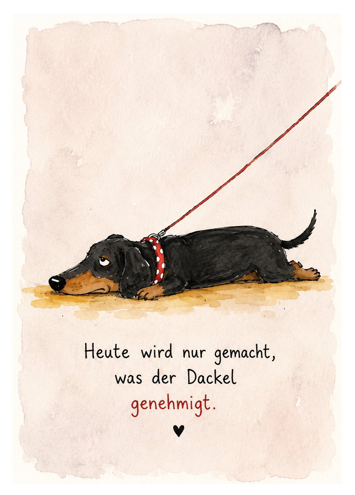 Postkarte „Heute wird nur gemacht, was der Dackel genehmigt“